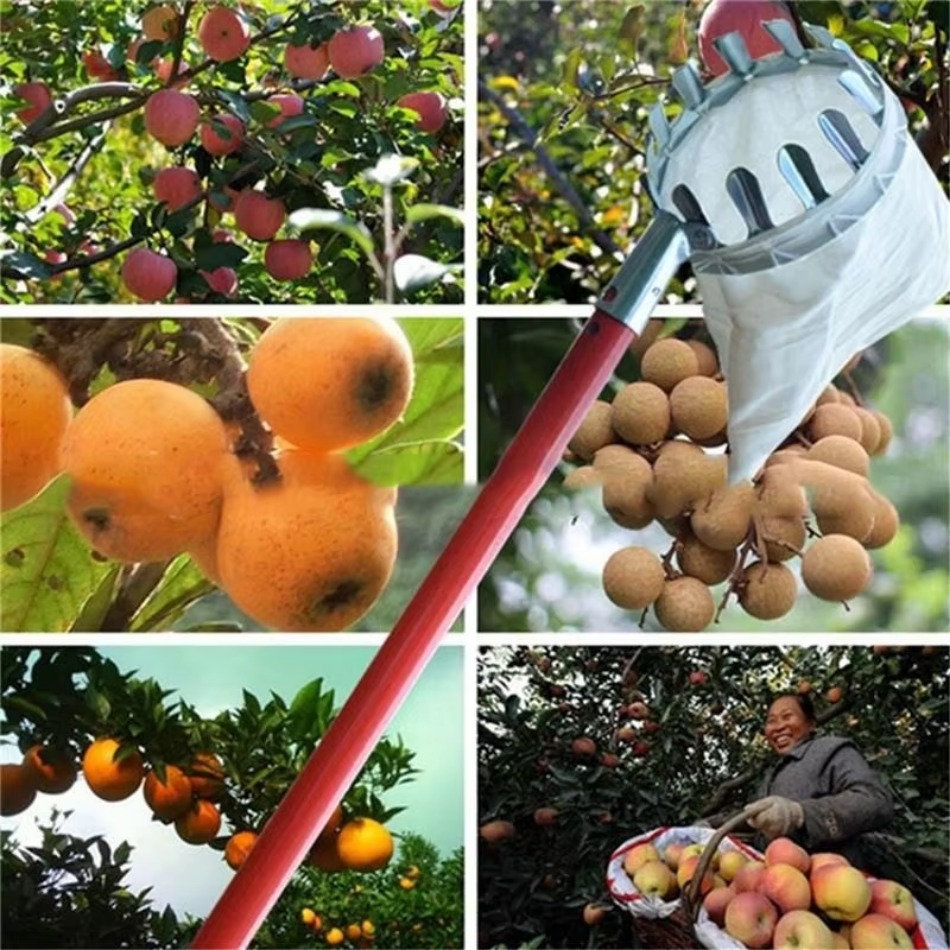 Farming Tools For Agriculture - Multi Purpose Telescopic Galvanized Iron Fruit