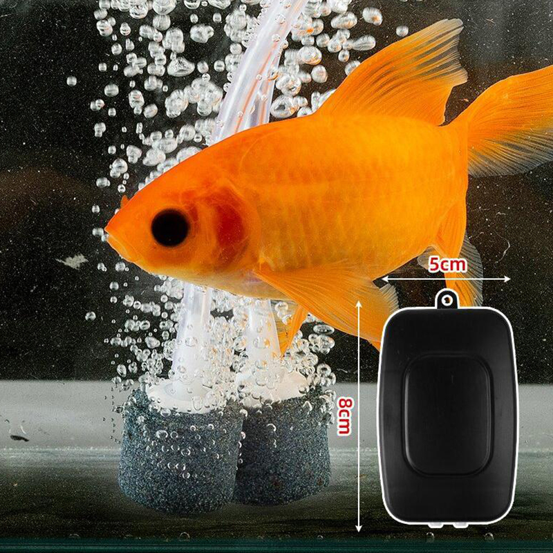 Mini Aquarium Air Pump Kit Oxy - Aquaculture Aerator Pump ulasan dan harga