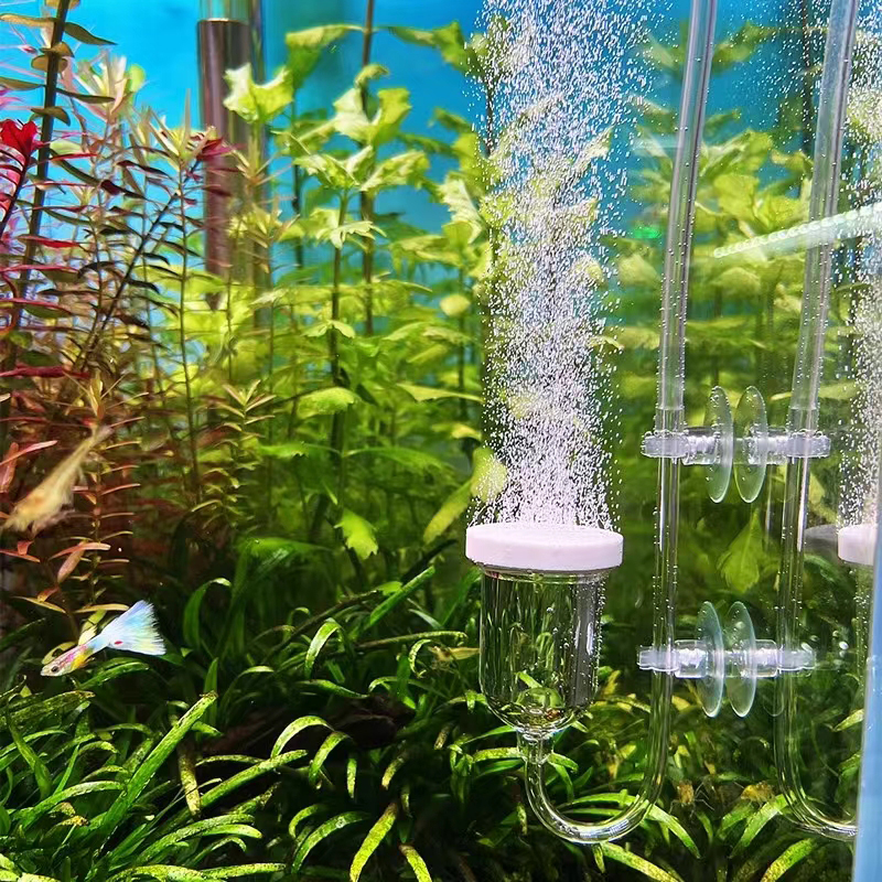 1Set Glass Air Pump Sand Stone - Aquaculture Aerator Pump ulasan dan harga