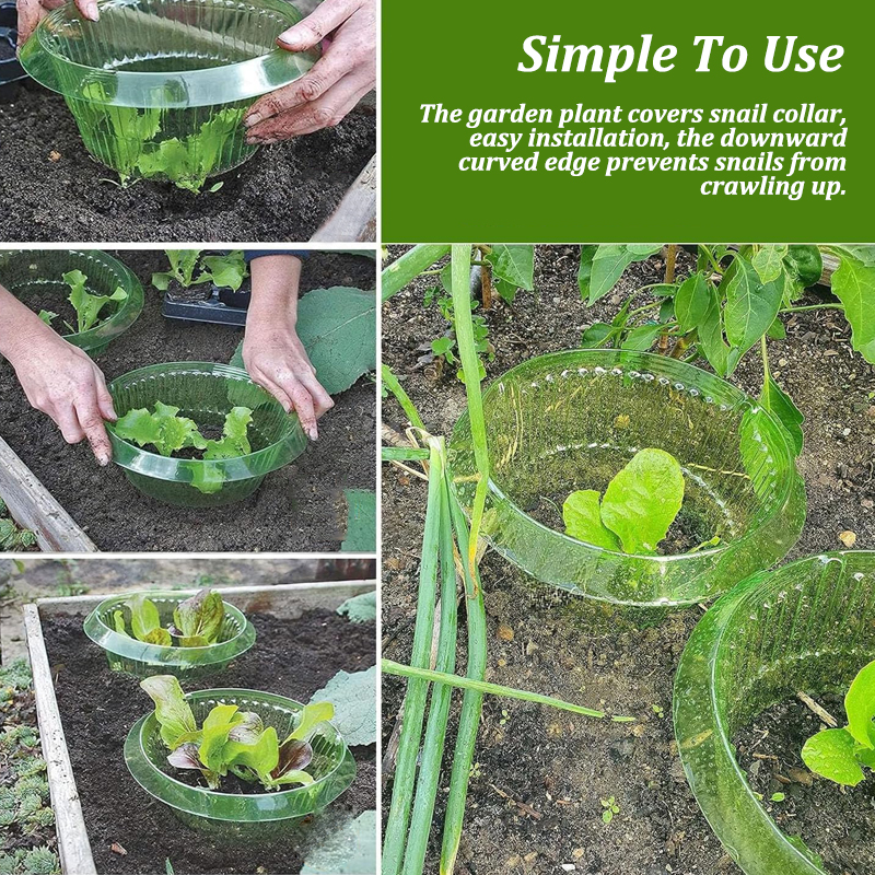 5-25Pcs Plants Slug Protection - Vegetable Transplanter ulasan dan harga