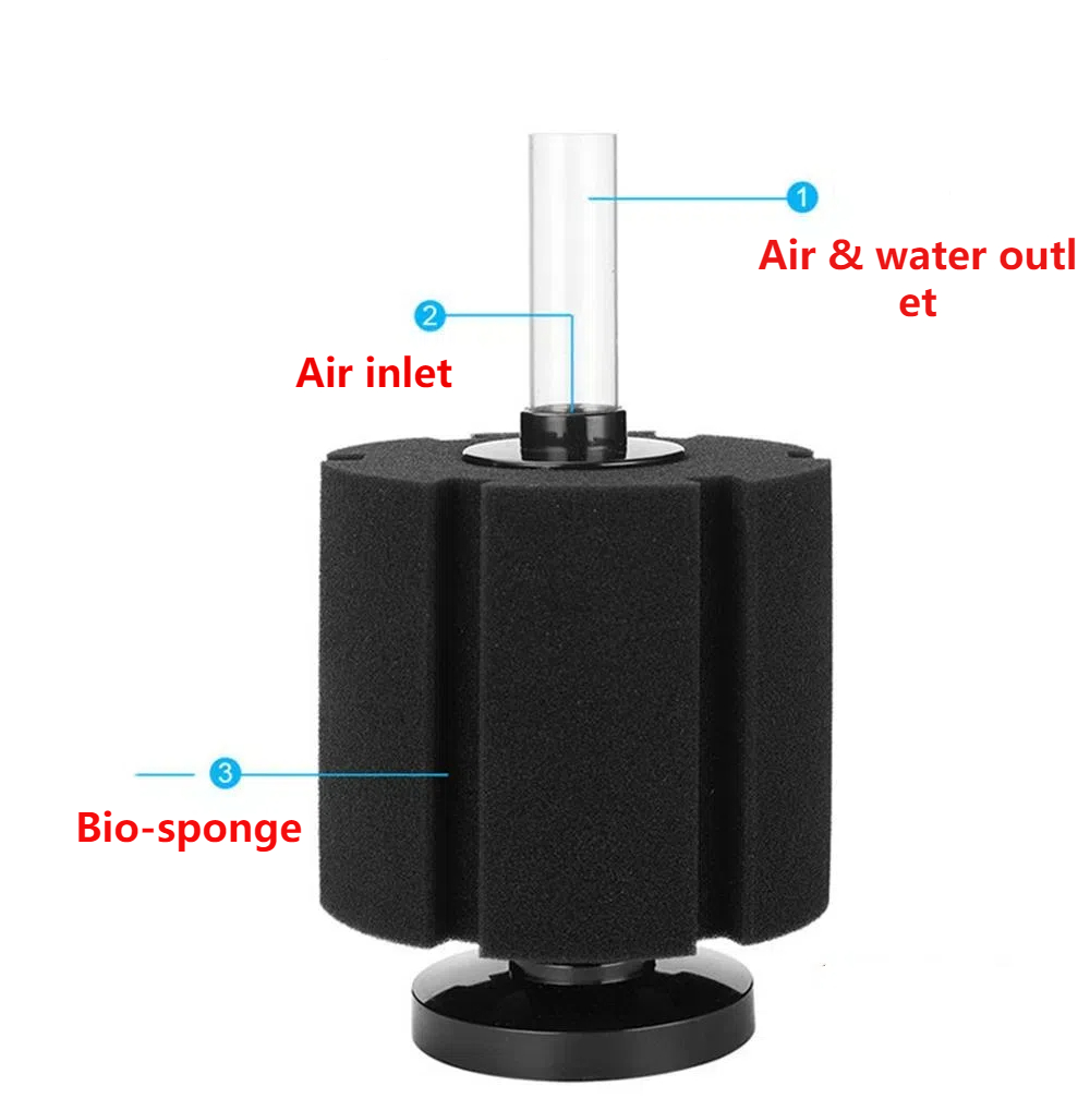 Aquarium Filter Sponge For Fis - Aquaculture Aerator Pump ulasan dan harga