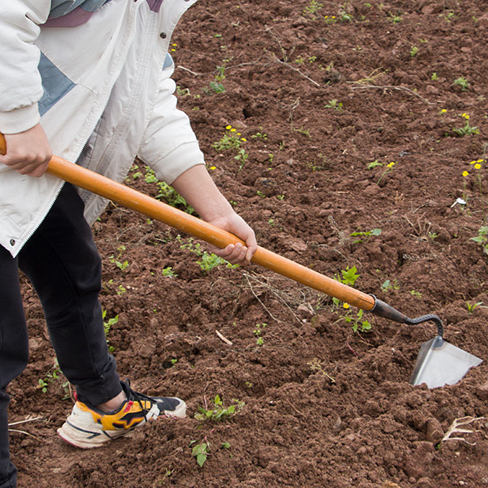 Handmade plows, rakes, hoes, h - Agriculture Farming Vegetables ulasan dan harga