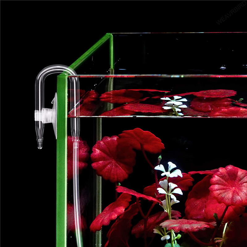 Aquarium U Shaped Air Pipe Con - Aquaculture Aerator Pump ulasan dan harga