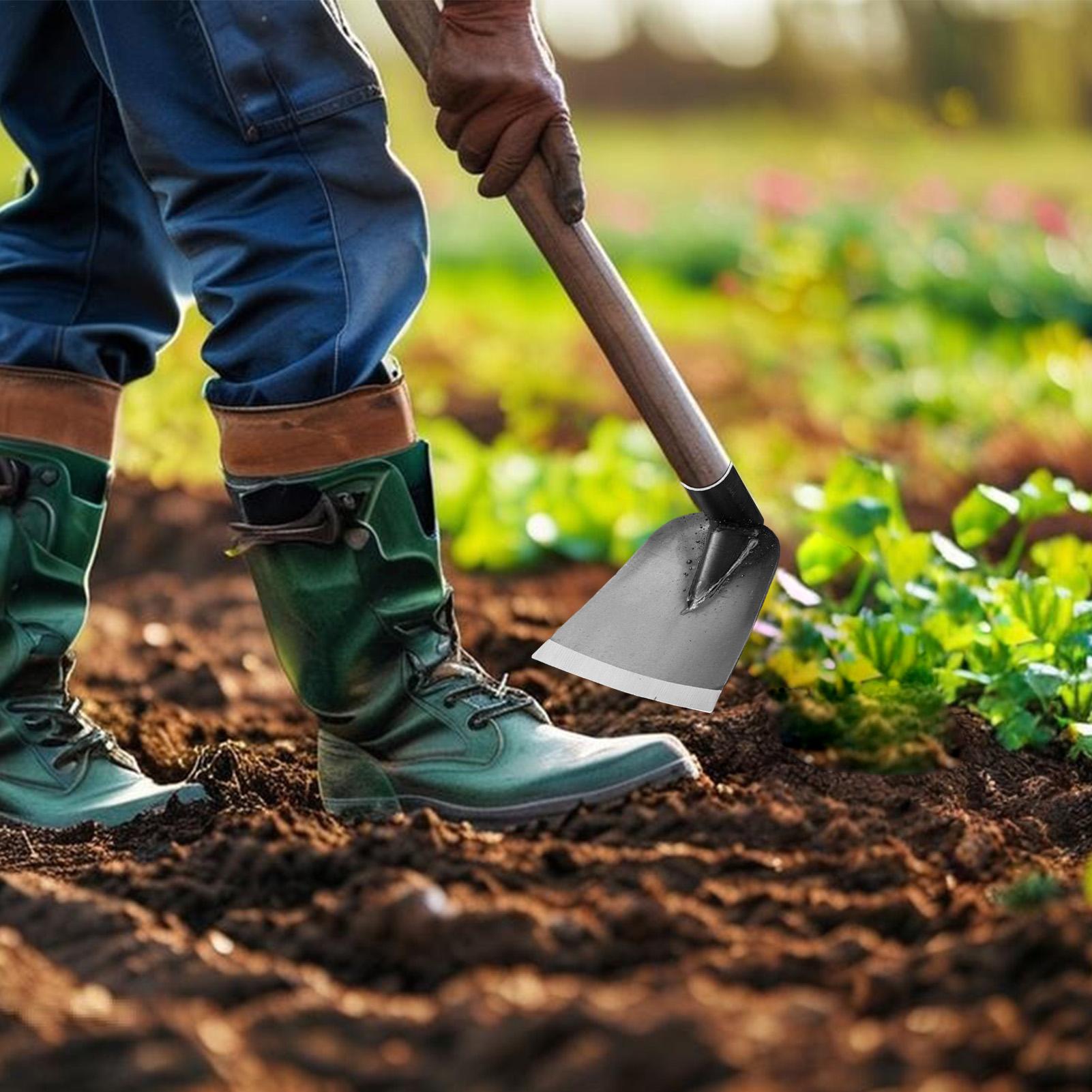 Farm Hoe Agricultural Weeding  - Agriculture Farming Vegetables ulasan dan harga