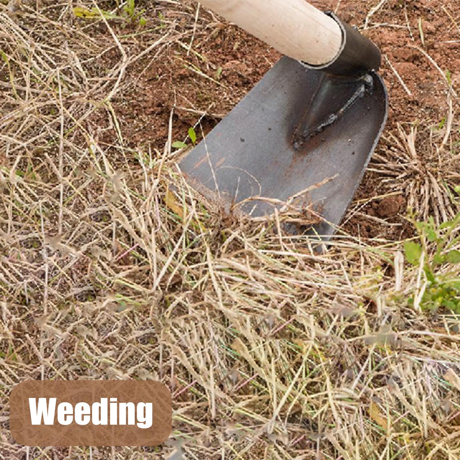 Farm Hoe Agricultural Weeding  - Agriculture Farming Vegetables ulasan dan harga