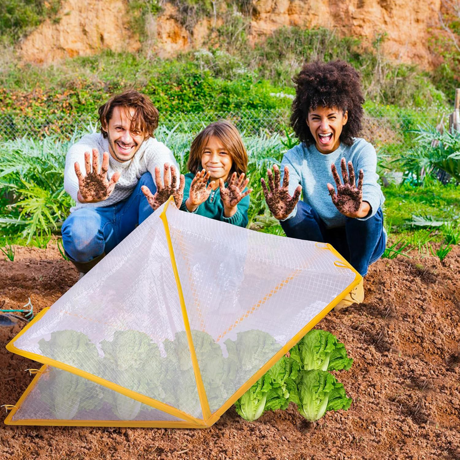 Greenhouse Garden Protector Wi - Vegetable Transplanter ulasan dan harga