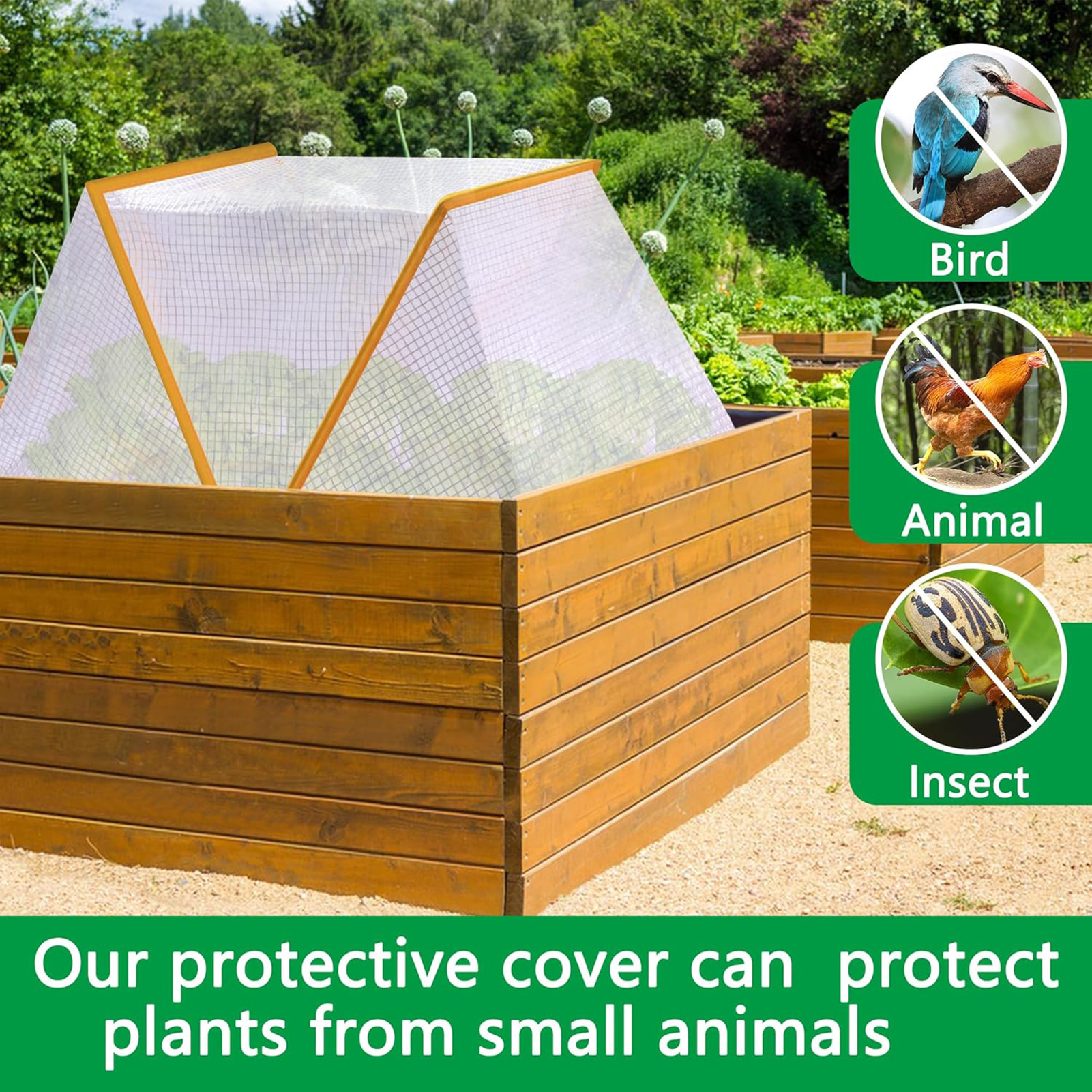 Greenhouse Garden Protector Wi - Vegetable Transplanter ulasan dan harga