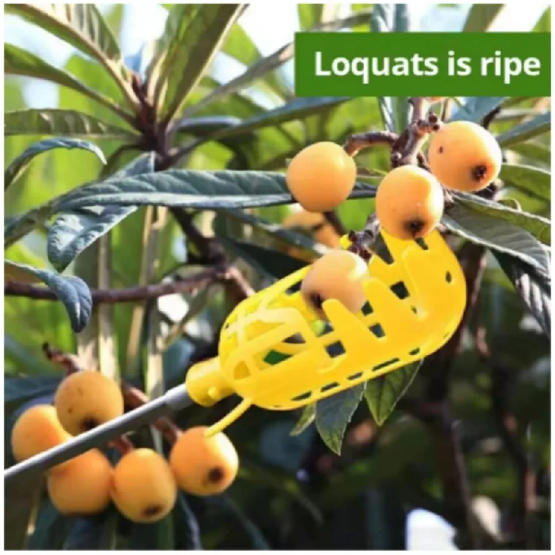 Farm Garden Picking Tools Frui - Farming Tools For Agriculture ulasan dan harga