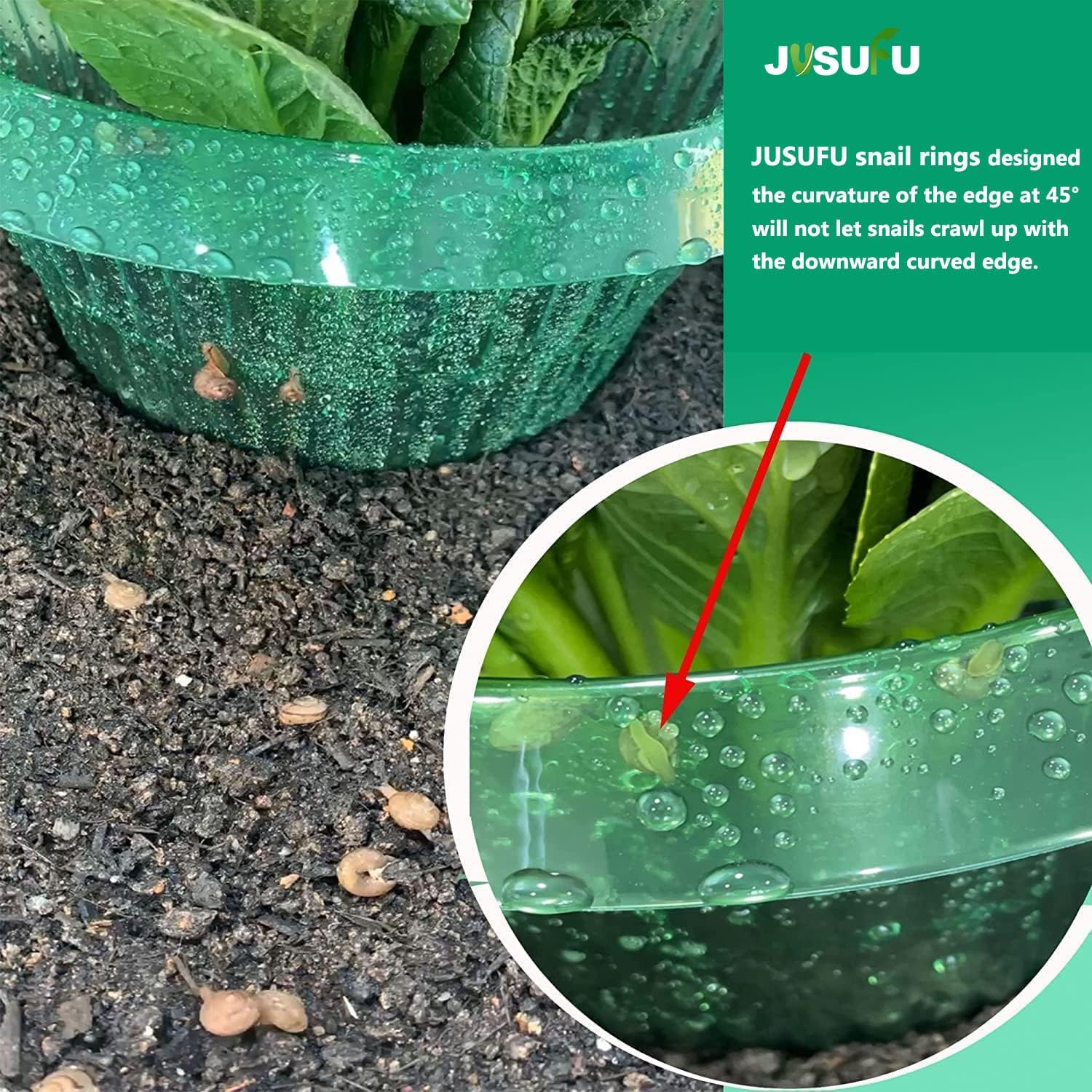 1/30pcs Plants Slug Protection - Vegetable Transplanter ulasan dan harga