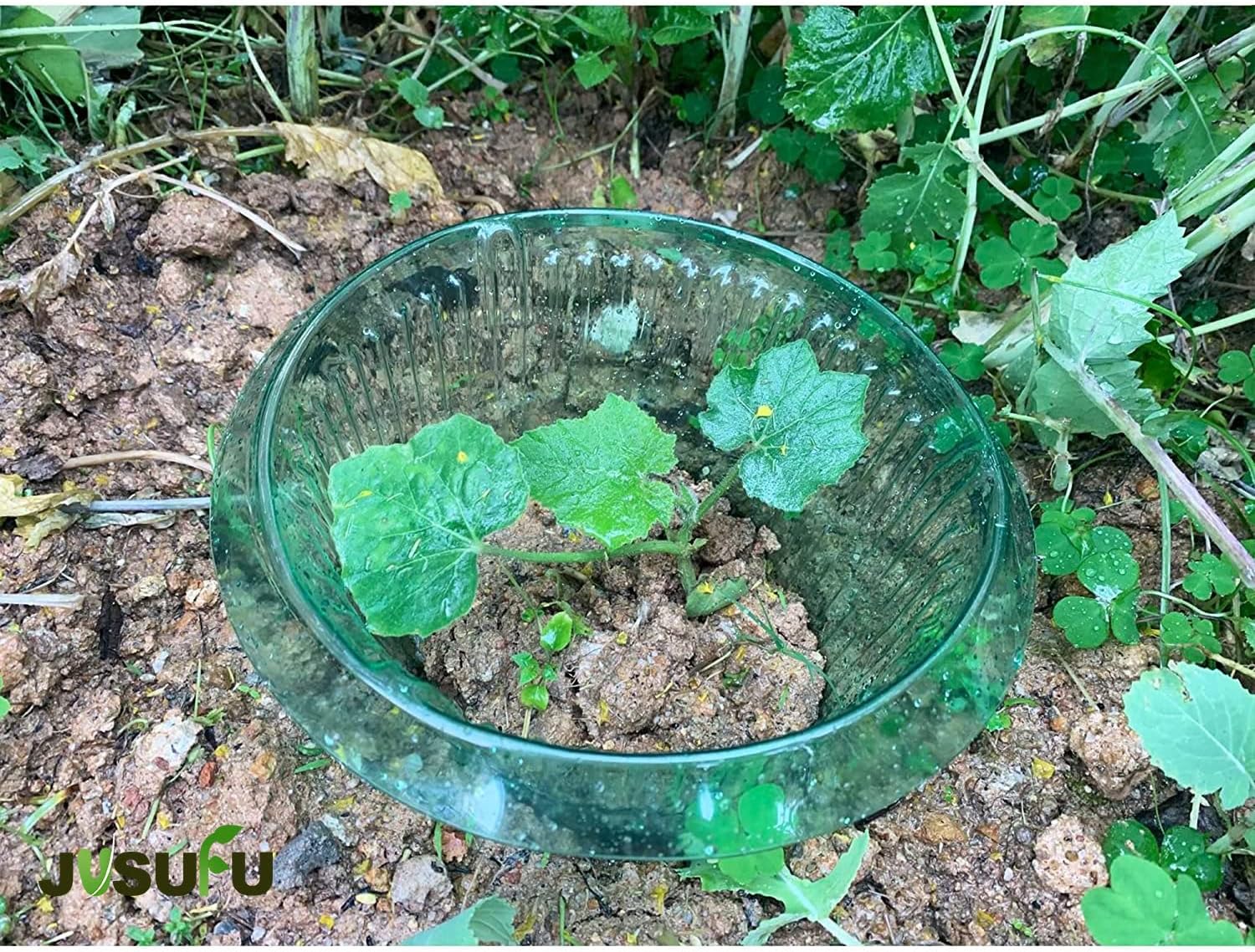 1/30pcs Plants Slug Protection - Vegetable Transplanter ulasan dan harga
