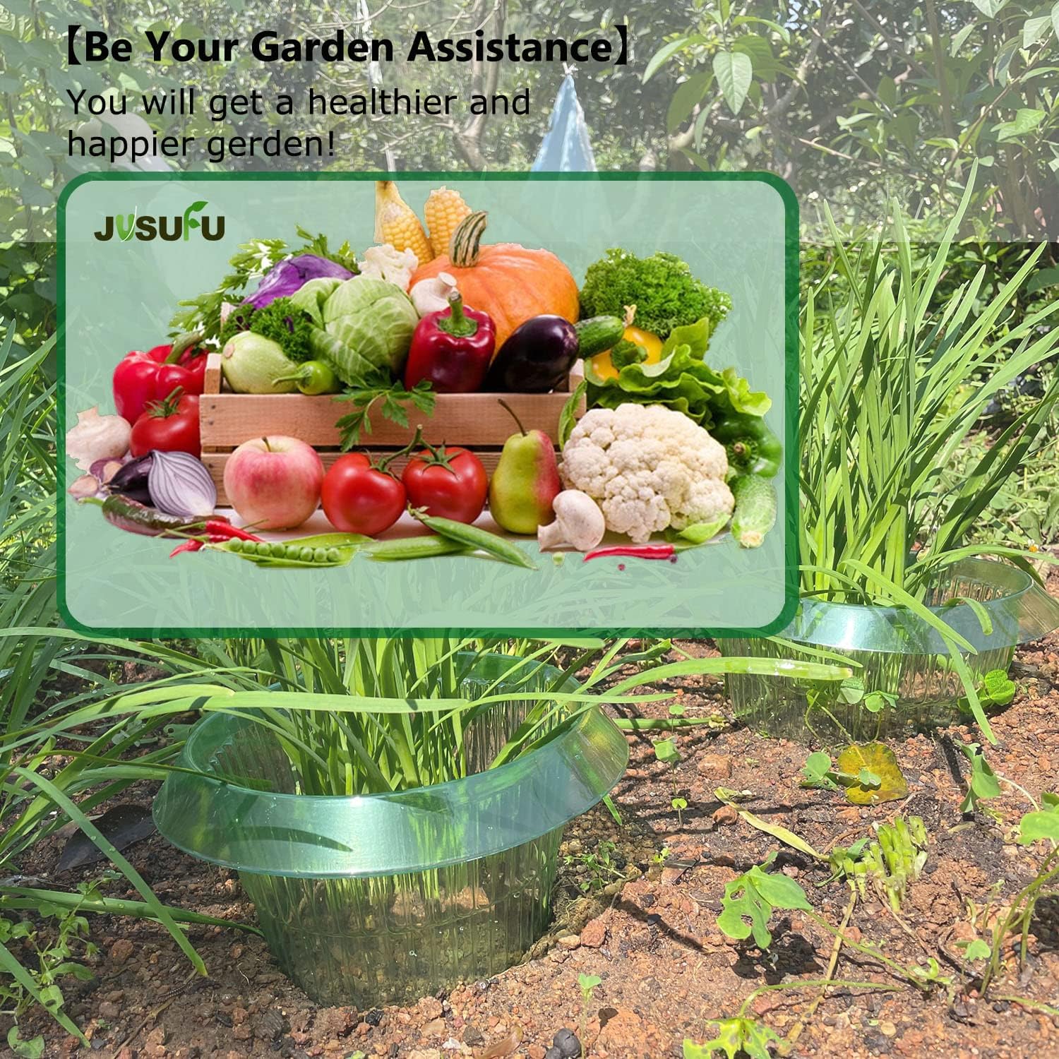 1/30pcs Plants Slug Protection - Vegetable Transplanter ulasan dan harga