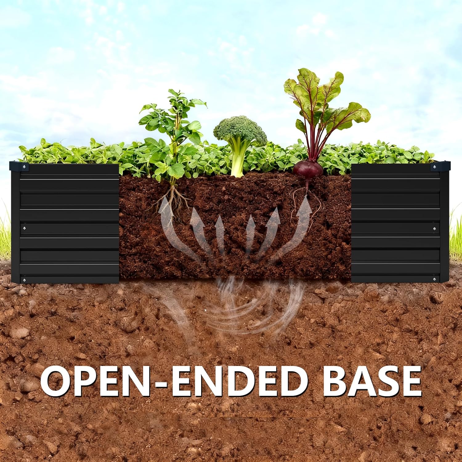 Galvanized Raised Garden Bed K - Vegetable Transplanter ulasan dan harga