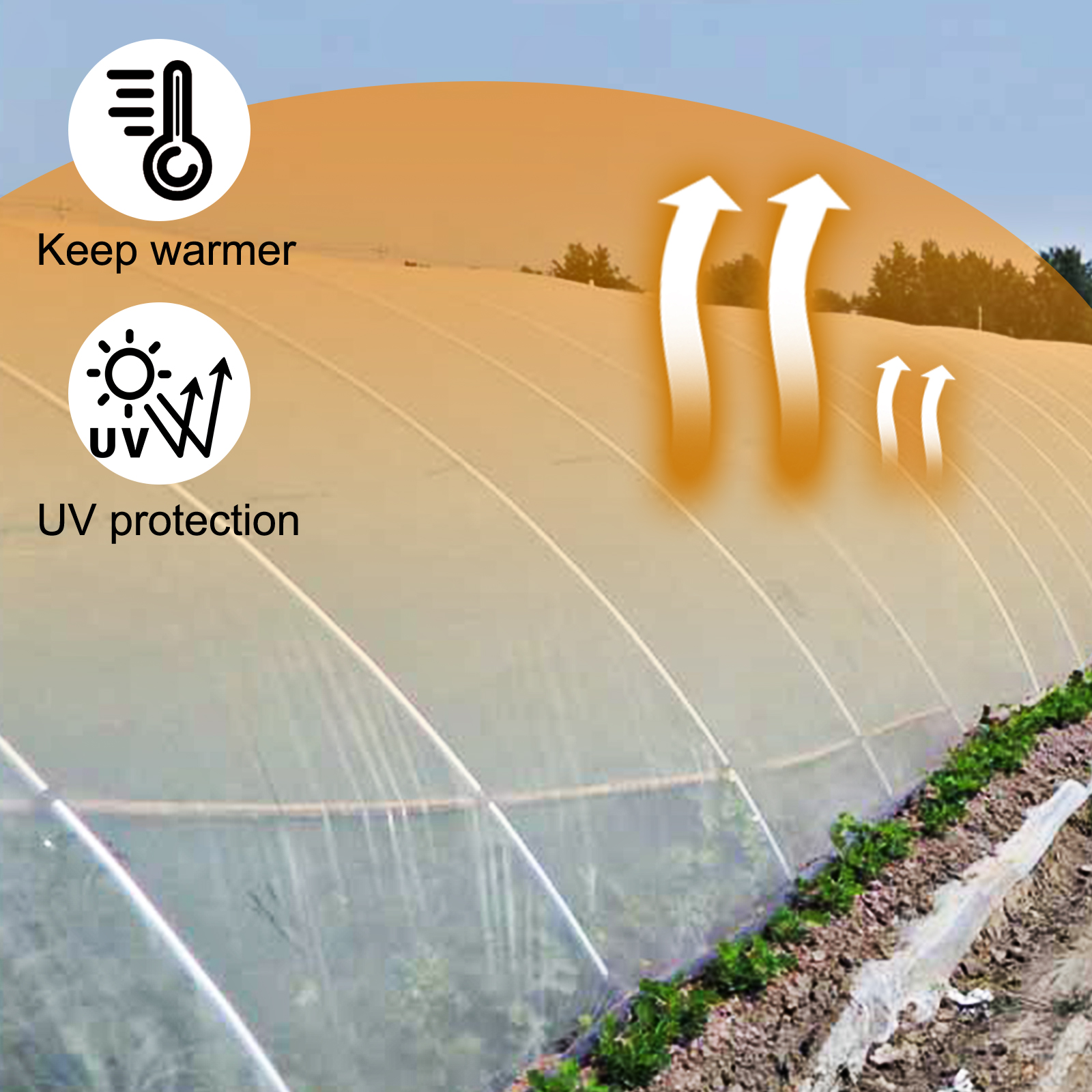 SucceBuy Agricultural Greenhou - Agriculture Farming Vegetables ulasan dan harga