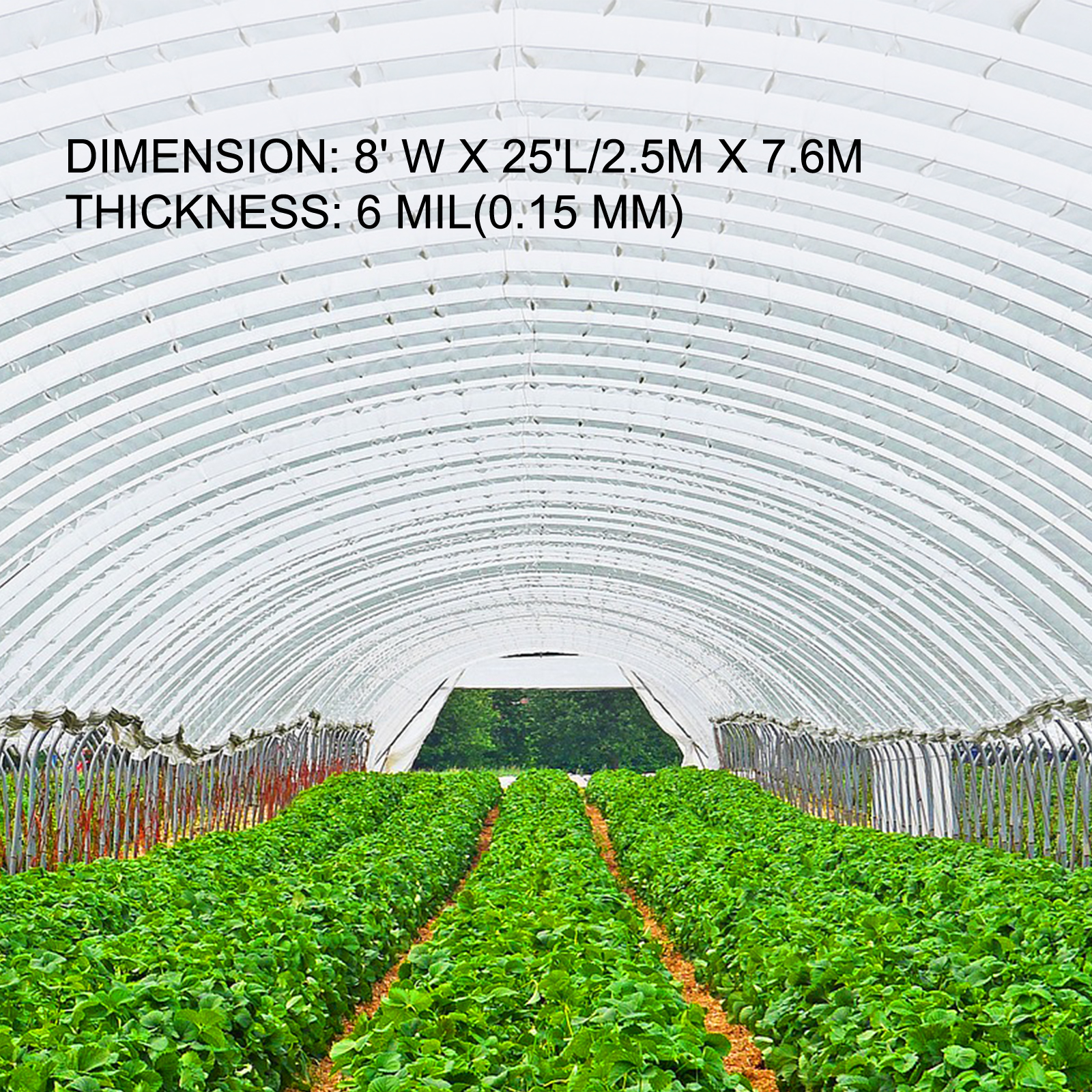 SucceBuy Agricultural Greenhou - Agriculture Farming Vegetables ulasan dan harga