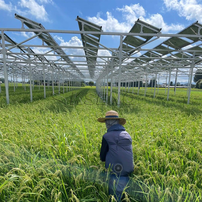Japan`s New Agriculture Alumin - Agriculture Farming News ulasan dan harga